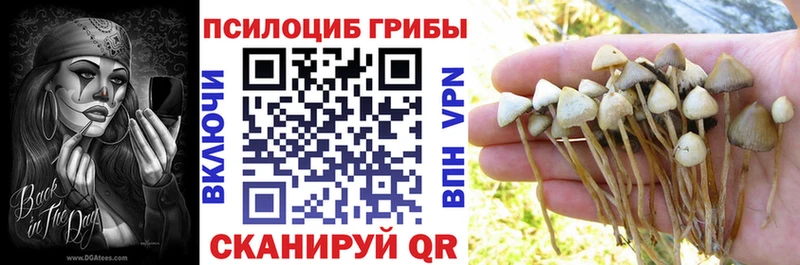 Псилоцибиновые грибы MAGIC MUSHROOMS  Кировград 